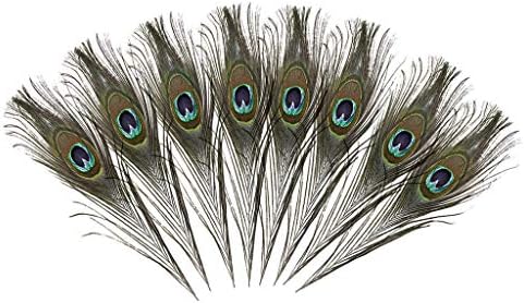 Prirodno perje za oči uradi sam pravi Zanati25-30cm / 9.8-11.8 inča rep puno Home Decor Wisteria cvijeće