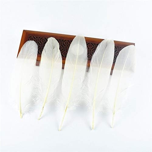 Zamihalaa 50pcs/lot tvrda guska Zlatna perja13-20cm DIY perje za izradu nakita Needlework Wedding Decoration