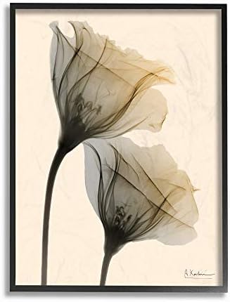 Stupell Industries fotografija cvijeta neutralne svjetlosti, dizajn Albert Koetsier Art, 13 x 19, zidna