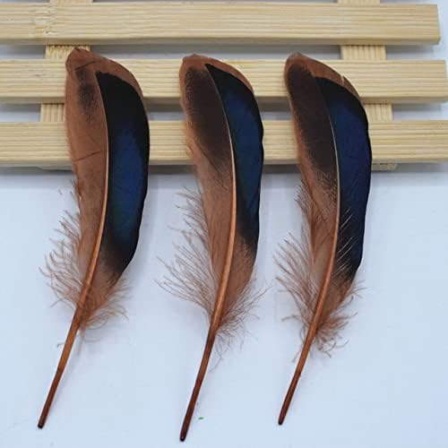 Zamihalaa 10-5000 komada 12-15 cm krila perje divlje pačje perje za DIY zanatske odjevne dodatke-10 komada